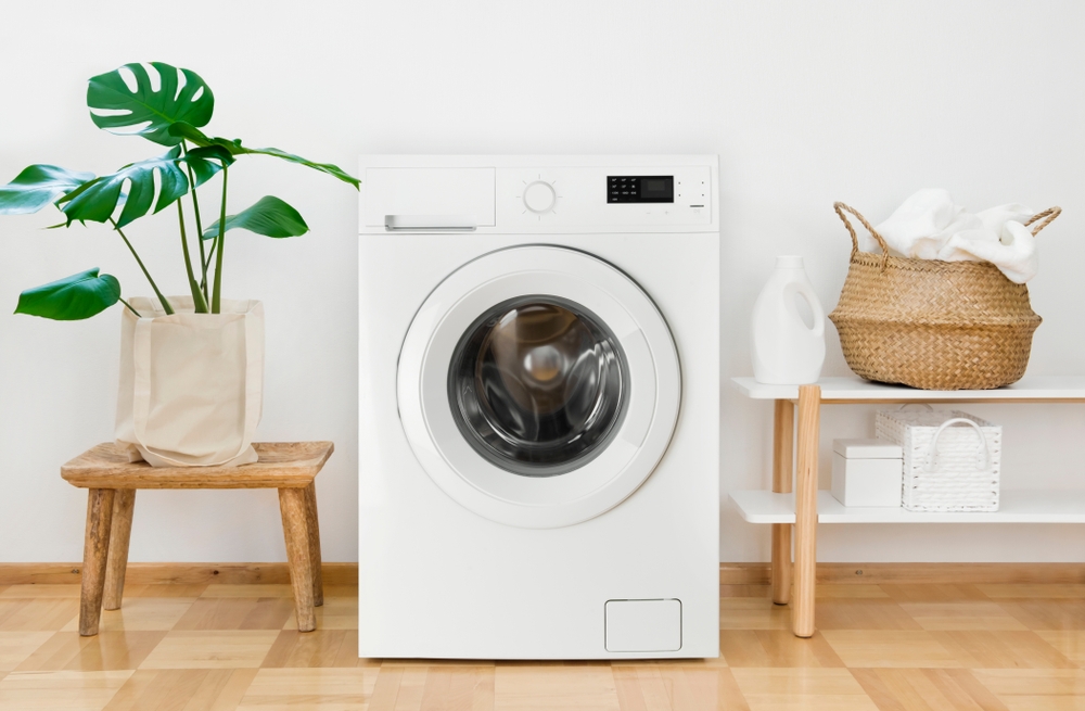 Lave linge blanc avec une plante