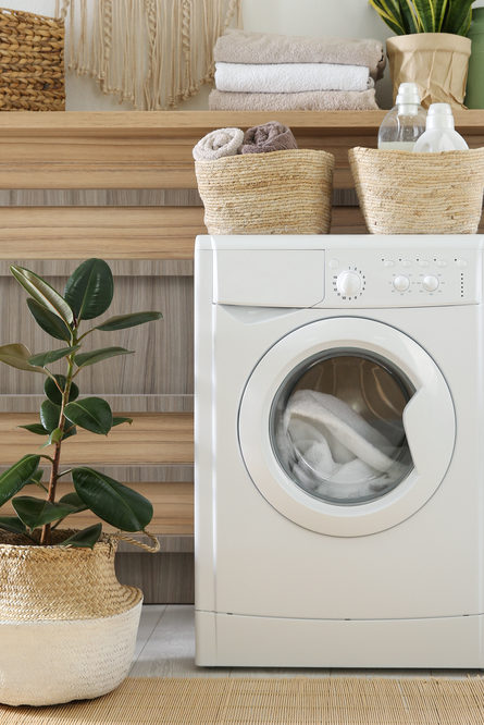 Lave linge moderne et plantes